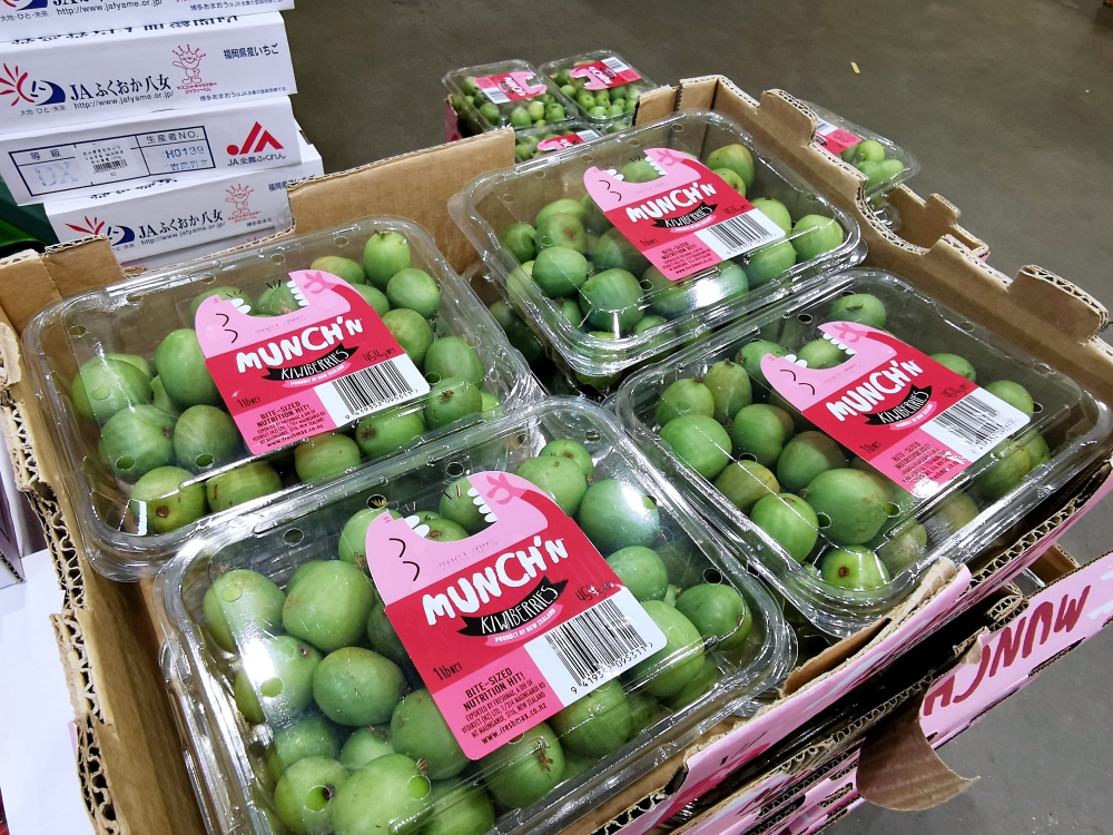 好市多 Costco 超可愛迷你奇異果 直翻是奇異莓果 KIWI Berry