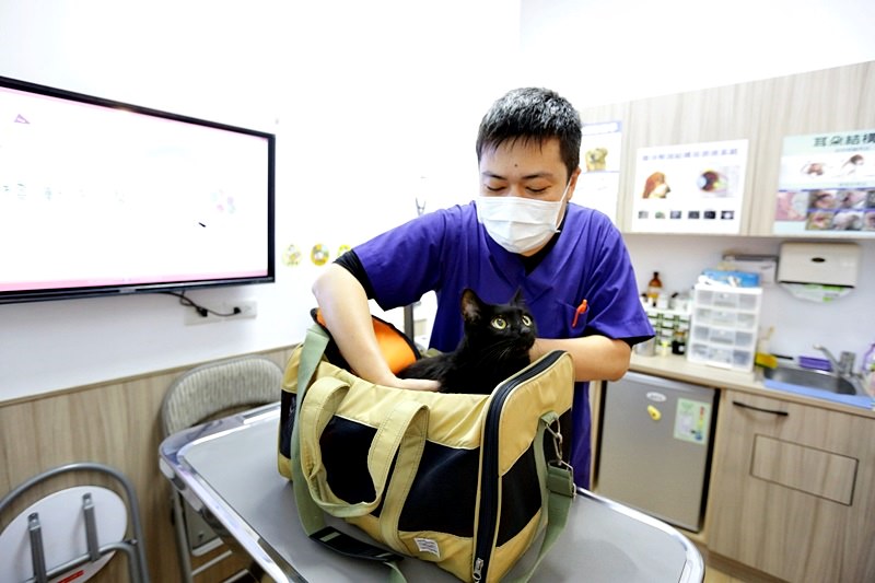 台中 | 劍橋動物醫院 北屯推薦動物醫院 人要健檢寵物也要健檢 讓毛小孩能陪我們更久