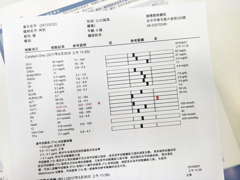 台中 | 劍橋動物醫院 南屯推薦動物醫院 心臟超音波檢查 寵物健康檢查更精確