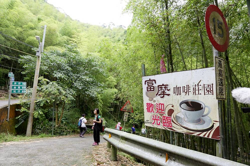 嘉義龍眼 茶園風光有如在拍廣告 龍眼彩虹木棧道必遊 純樸靜謐的緩慢生活