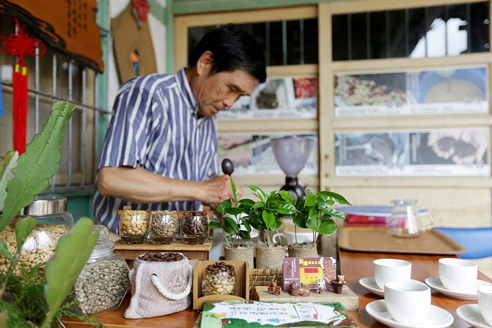 嘉義龍眼 茶園風光有如在拍廣告 龍眼彩虹木棧道必遊 純樸靜謐的緩慢生活