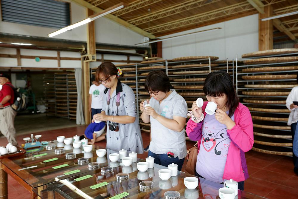 嘉義龍眼 茶園風光有如在拍廣告 龍眼彩虹木棧道必遊 純樸靜謐的緩慢生活