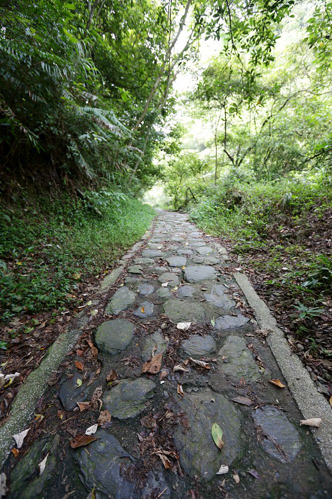 觀音瀑布 埔里推薦景點 離公路最近的瀑布 中部避暑景點