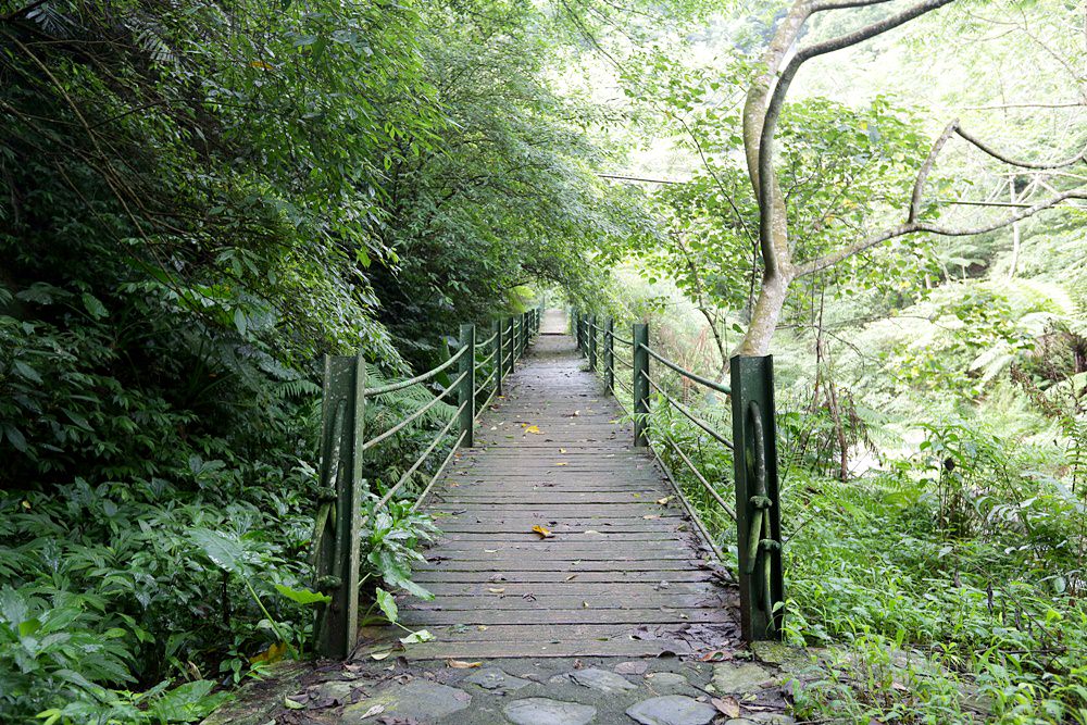 觀音瀑布 埔里推薦景點 離公路最近的瀑布 中部避暑景點