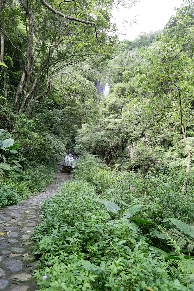 觀音瀑布 埔里推薦景點 離公路最近的瀑布 中部避暑景點