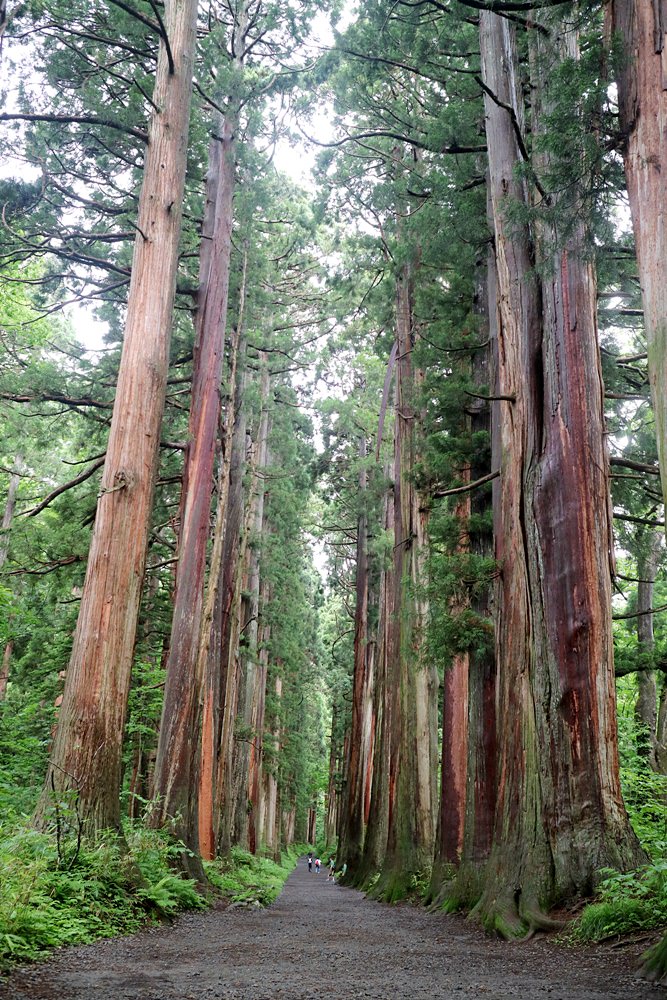 日本北陸十日露營+車中泊 自駕旅行 合掌村 高山陣屋 飛驒 金澤 戶隱 小布施