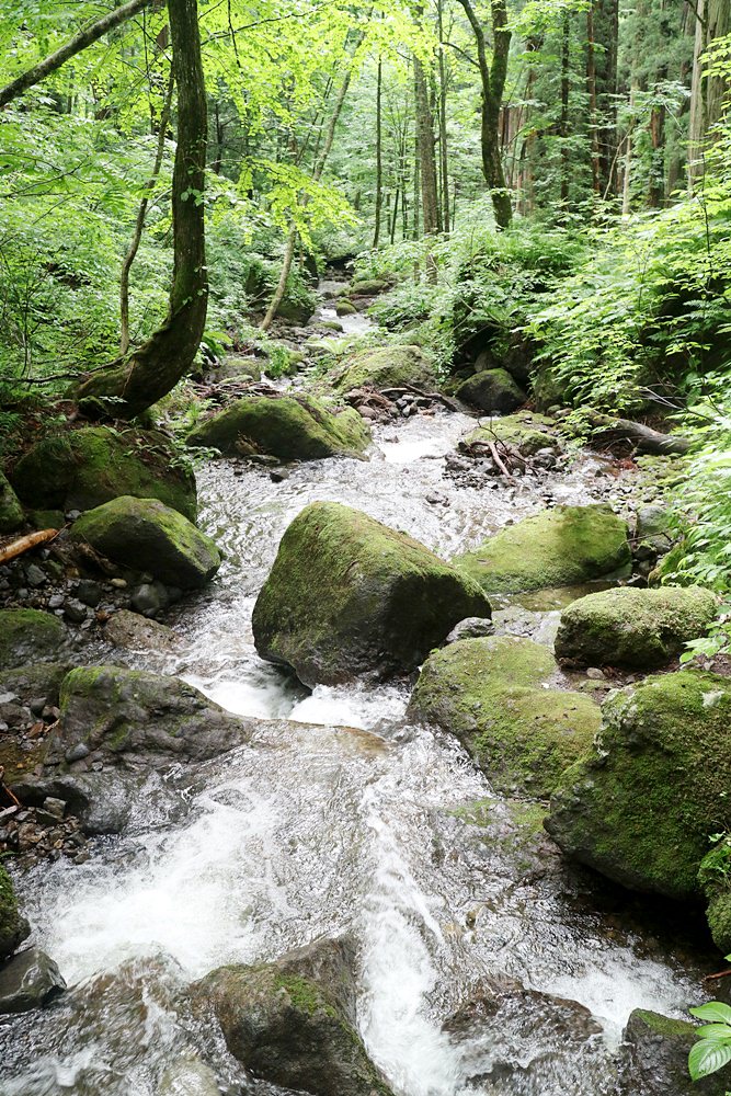 日本北陸十日露營+車中泊 自駕旅行 合掌村 高山陣屋 飛驒 金澤 戶隱 小布施