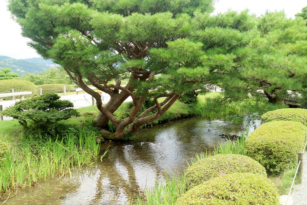 日本北陸十日露營+車中泊 自駕旅行 合掌村 高山陣屋 飛驒 金澤 戶隱 小布施