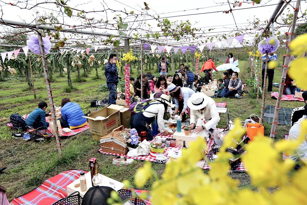 台中外埔 酒鄉田園野餐日 葡萄樹下的浪漫野餐