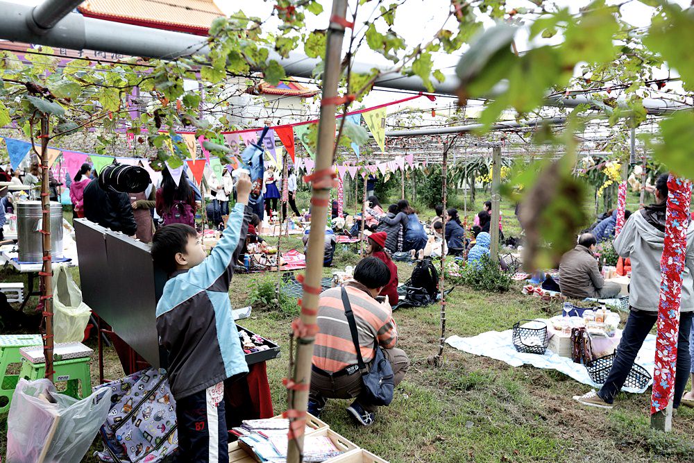 台中外埔 酒鄉田園野餐日 葡萄樹下的浪漫野餐