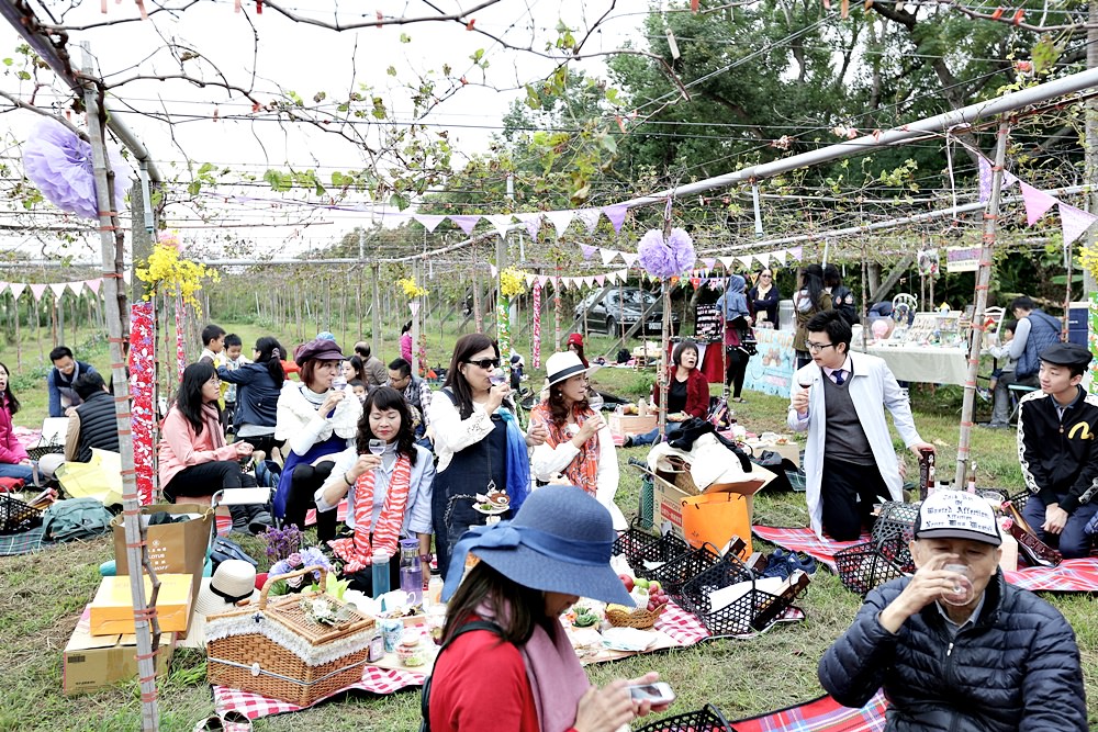 台中外埔 酒鄉田園野餐日 葡萄樹下的浪漫野餐