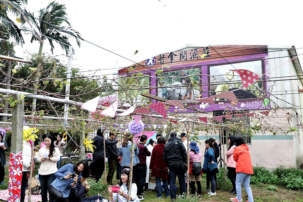 台中外埔 酒鄉田園野餐日 葡萄樹下的浪漫野餐