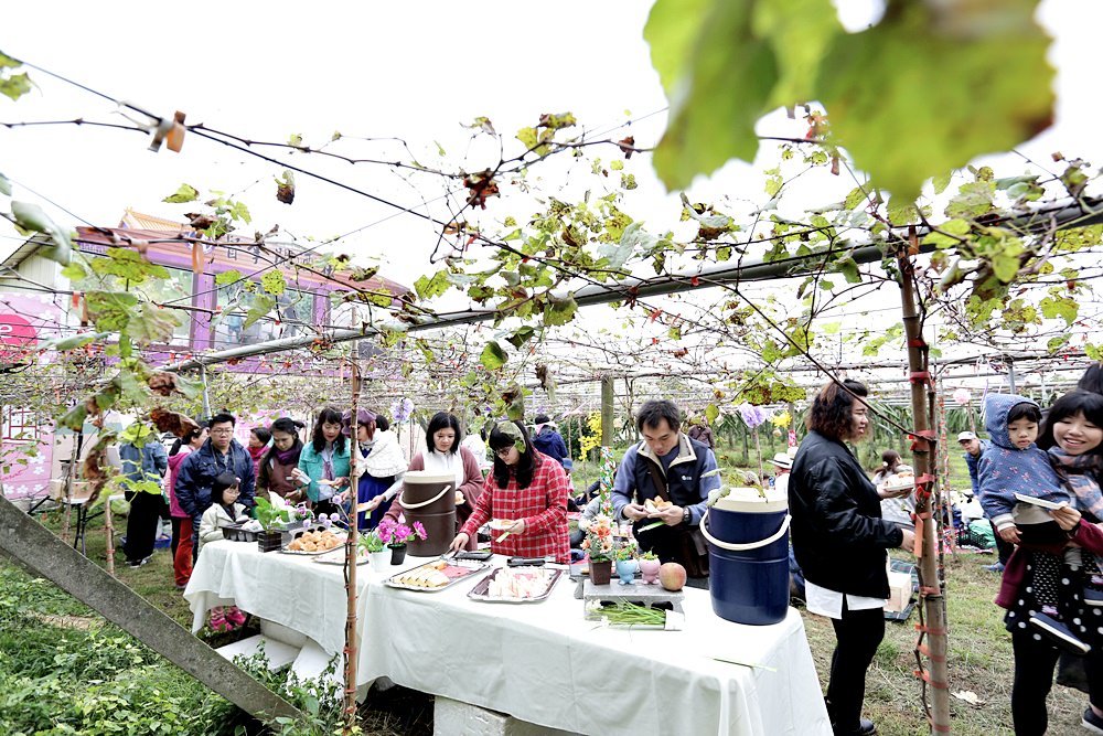 台中外埔 酒鄉田園野餐日 葡萄樹下的浪漫野餐