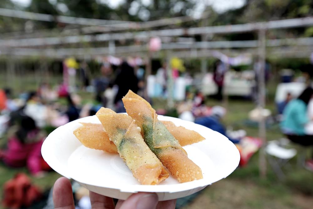 台中外埔 酒鄉田園野餐日 葡萄樹下的浪漫野餐