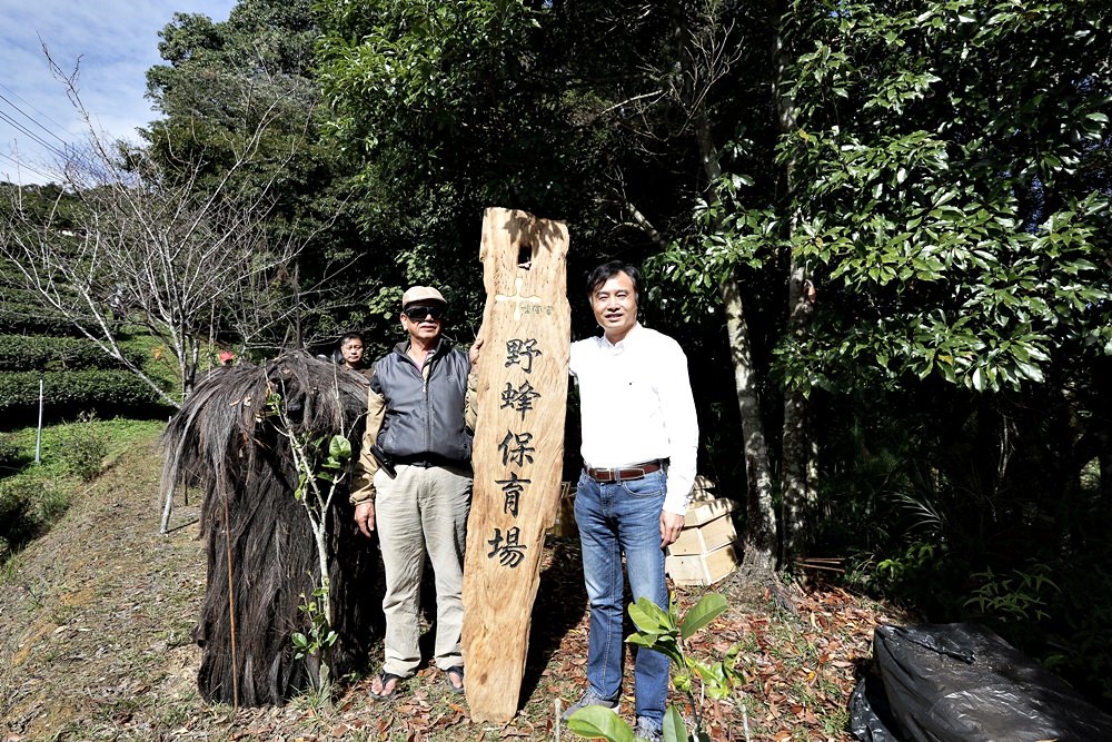 佳風蜜復育台灣野蜂的故事 原來野蜂蜜是這樣採 被萬隻野蜂包圍場面很壯觀