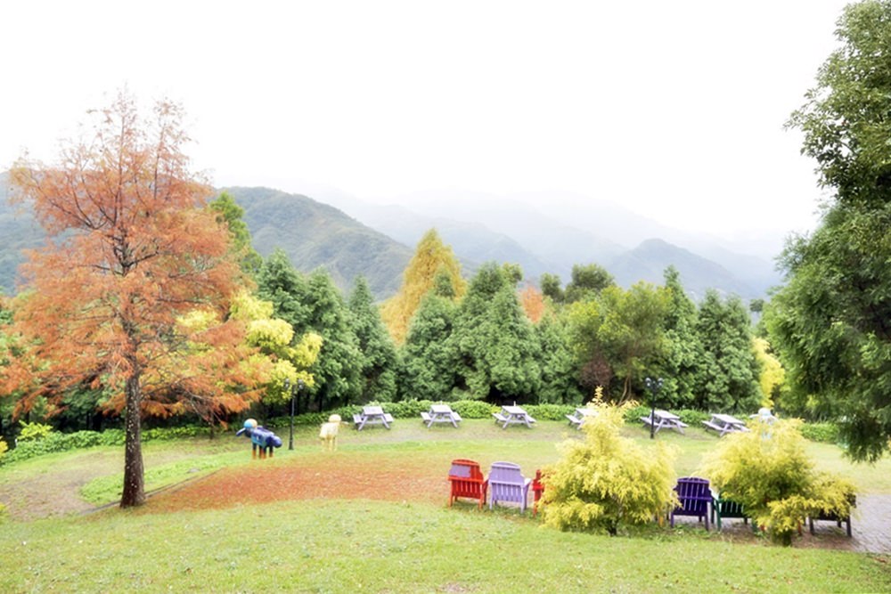 桃園北橫景點 綠光森林富野綿羊牧場 泛紅落羽松正美 青青草原綿羊漫步 馬告蒙古火鍋夠正點