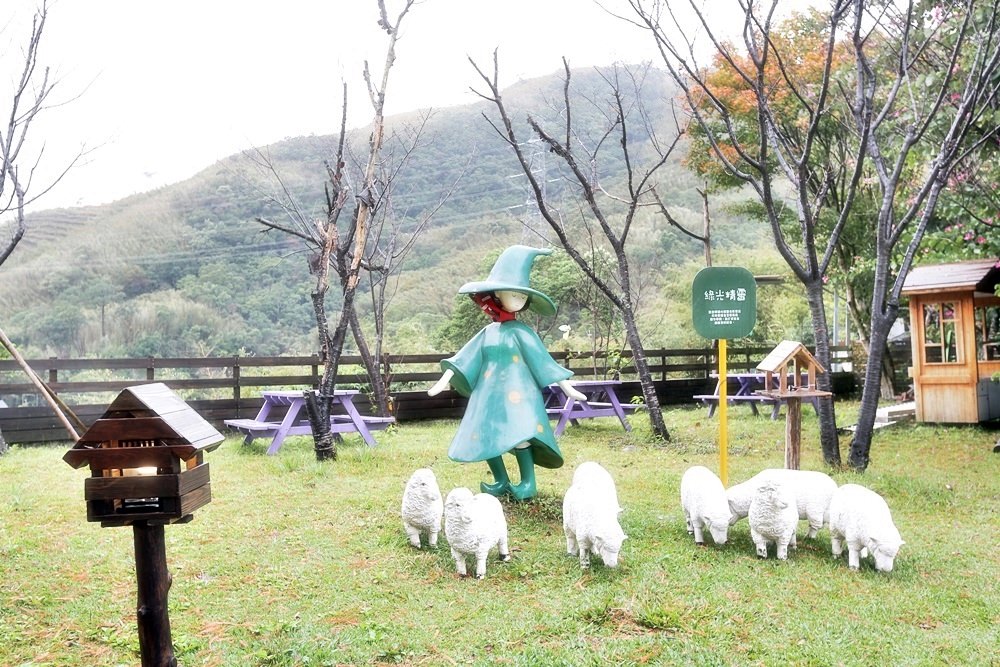 桃園北橫景點 綠光森林富野綿羊牧場 泛紅落羽松正美 青青草原綿羊漫步 馬告蒙古火鍋夠正點