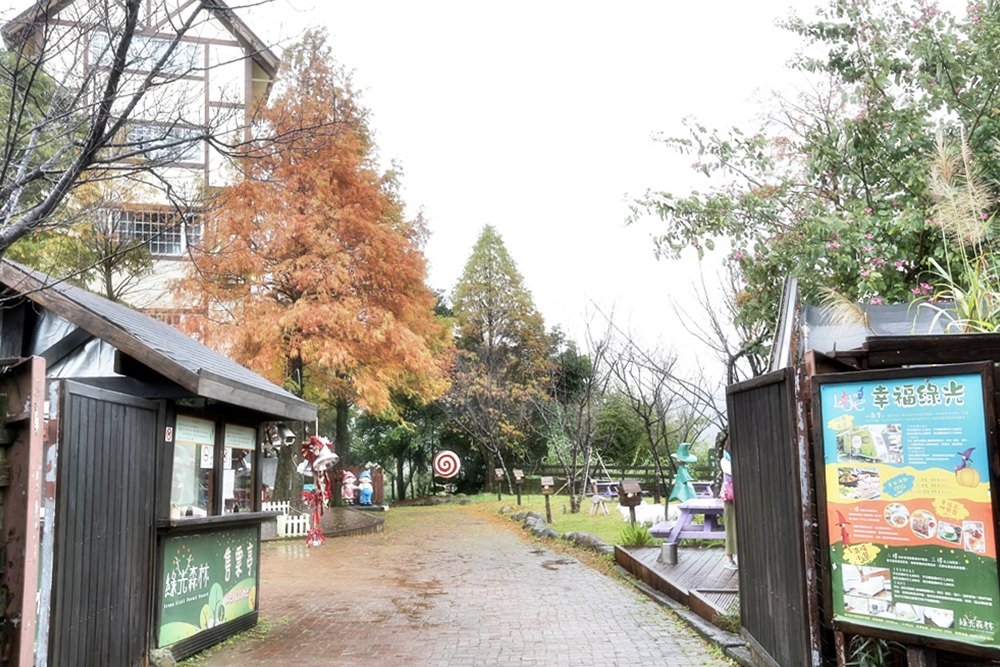 桃園北橫景點 綠光森林富野綿羊牧場 泛紅落羽松正美 青青草原綿羊漫步 馬告蒙古火鍋夠正點