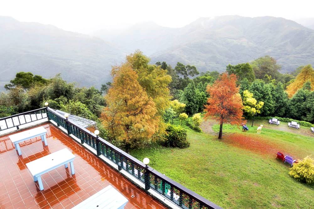 桃園北橫景點 綠光森林富野綿羊牧場 泛紅落羽松正美 青青草原綿羊漫步 馬告蒙古火鍋夠正點