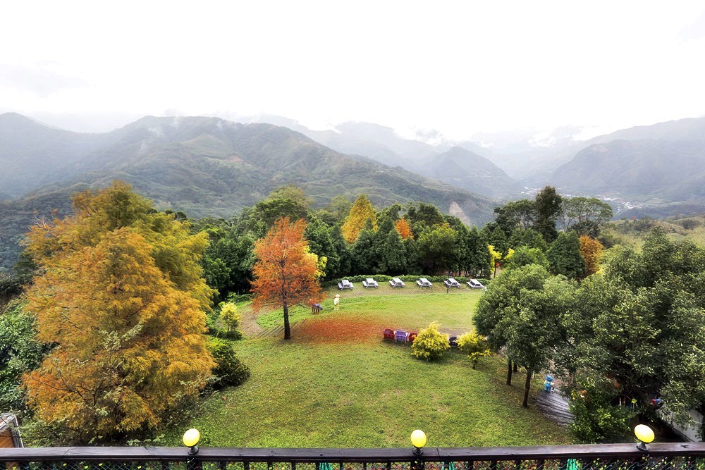 桃園北橫景點 綠光森林富野綿羊牧場 泛紅落羽松正美 青青草原綿羊漫步 馬告蒙古火鍋夠正點