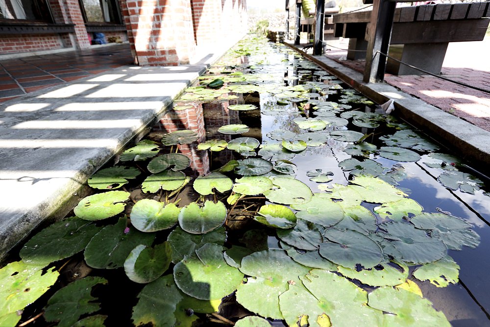 東勢景點 東勢客家文化園區 復古建築+舊鐵軌+搭騰雲號蒸氣火車 愛拍照朋友必訪