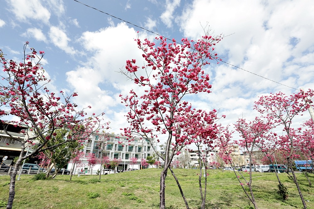 東勢景點 東勢客家文化園區 復古建築+舊鐵軌+搭騰雲號蒸氣火車 愛拍照朋友必訪