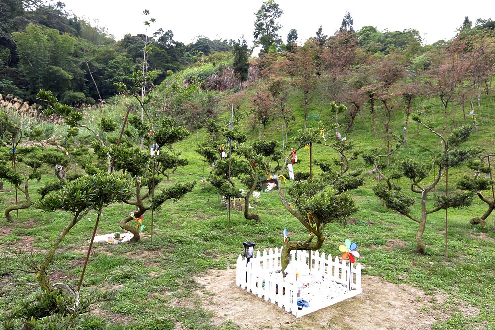 台中寵物送行者 深耕寵物森林園區 離別是再見的開始 期待在彩虹橋相遇