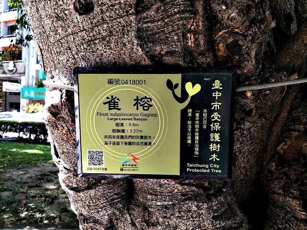 草悟道出現水瀑布 彩虹就在你眼前 科博館生命步道很清涼