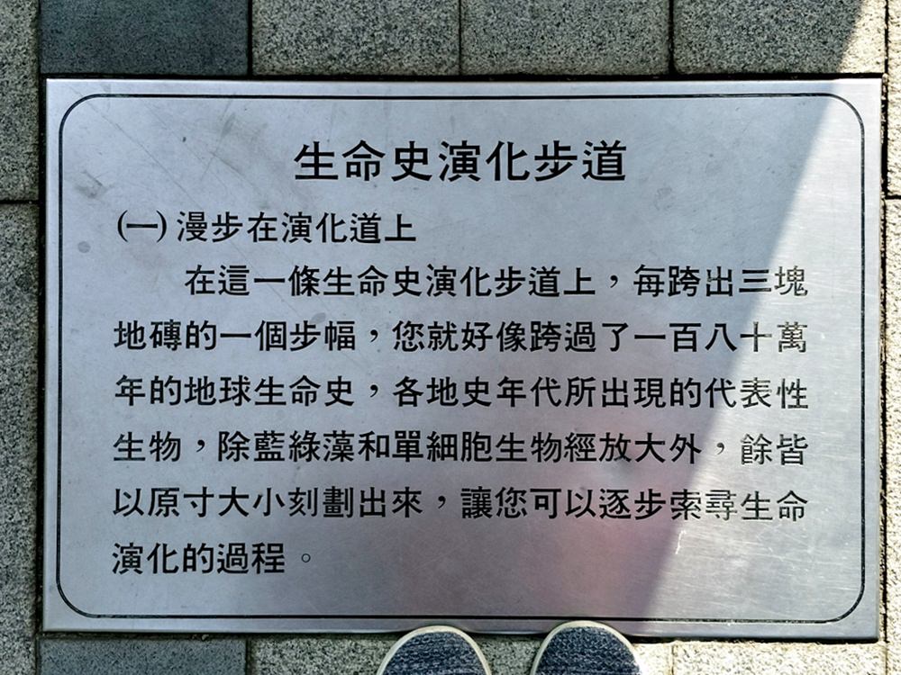 草悟道出現水瀑布 彩虹就在你眼前 科博館生命步道很清涼