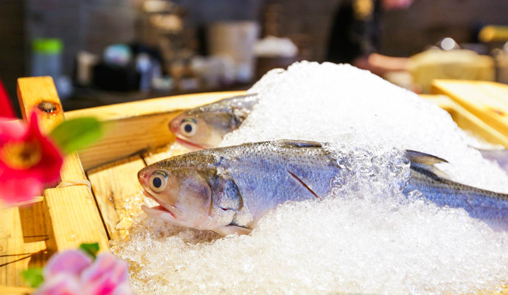 台中活海鮮 水森水產 活跳跳海鮮就是王道 鍋物日本料理雙菜單 老饕必訪