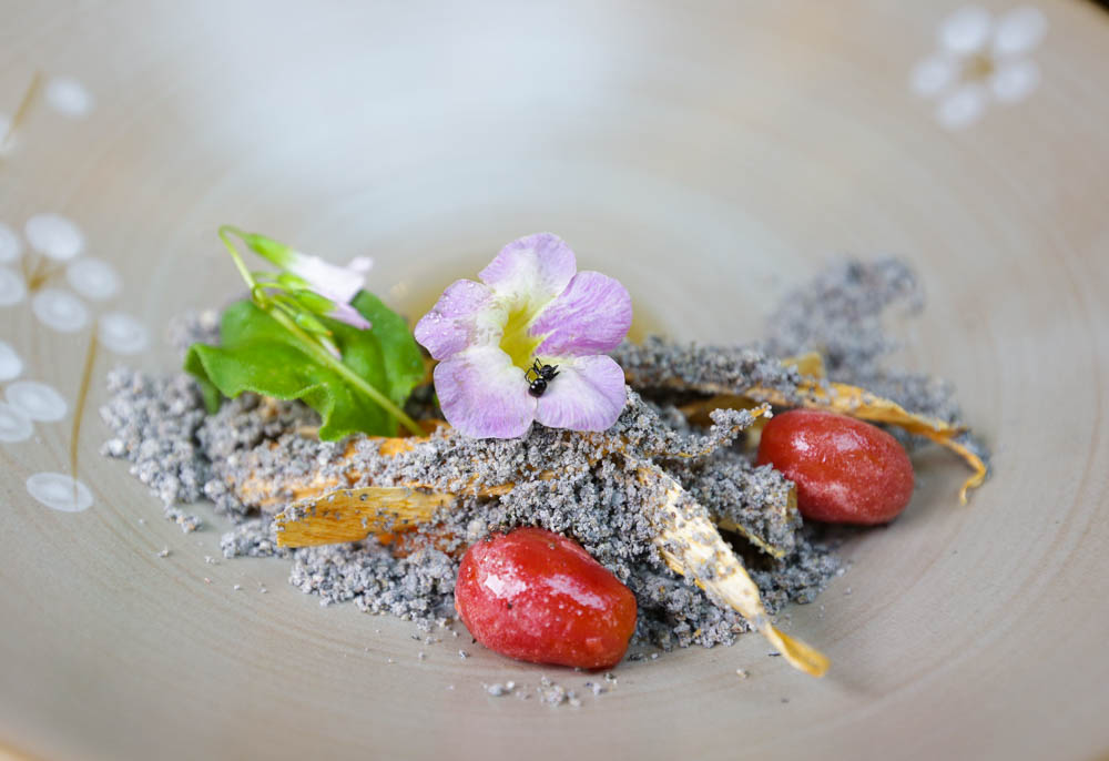 芾飲食實驗室 餐盤裡不只是料理也是森林與大海 一年只營業二個月 Feuille food lab