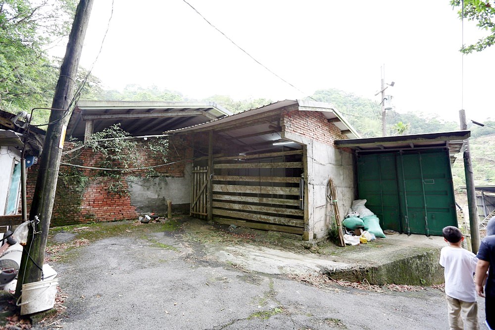 坪林小旅行 坪林老街美食 鷺鷥林美景 原來這裡還有養鹿場