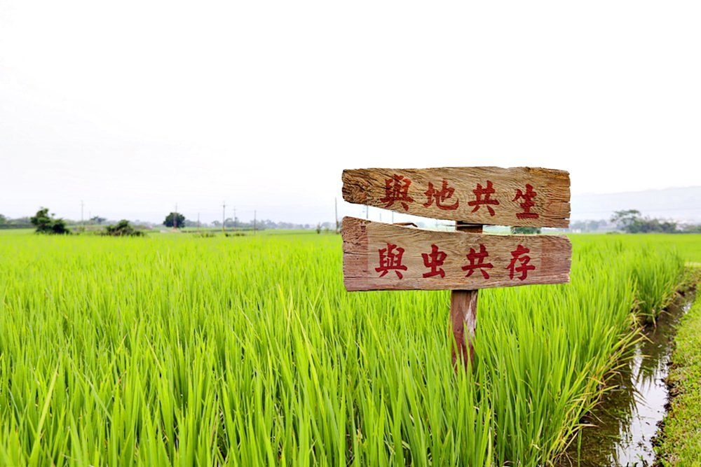 聿犁聯邦農業 光合稻子 花蓮小農聯合品牌 有生命力的好米從產地直送你家餐桌