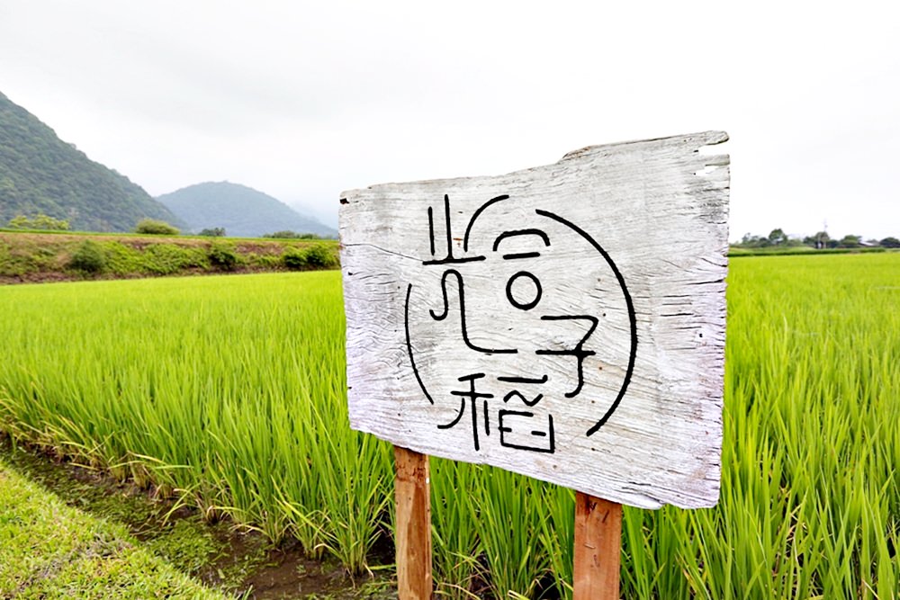 聿犁聯邦農業 光合稻子 花蓮小農聯合品牌 有生命力的好米從產地直送你家餐桌