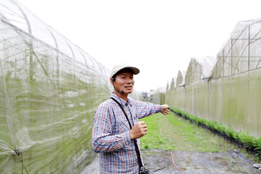 根田農業 江玉寶有機農場 誠意滿滿的山高漿有機山苦瓜茶包 食用百合兩度登上國宴