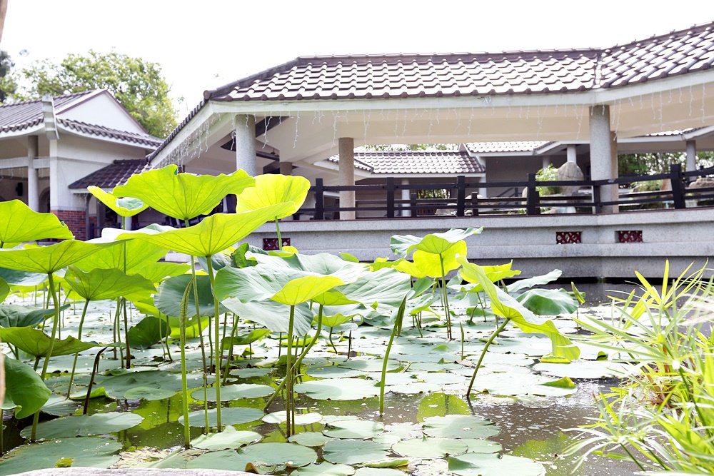 清水一日遊 | 正牌米糕、粉圓冰、眷村文化園區，清水真的好玩又好吃