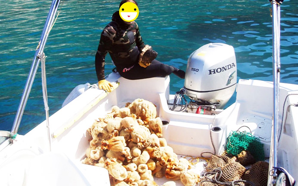 古希臘人就是這麼洗臉 小希地推薦來自地中海海綿島 最強天然絲綢海綿