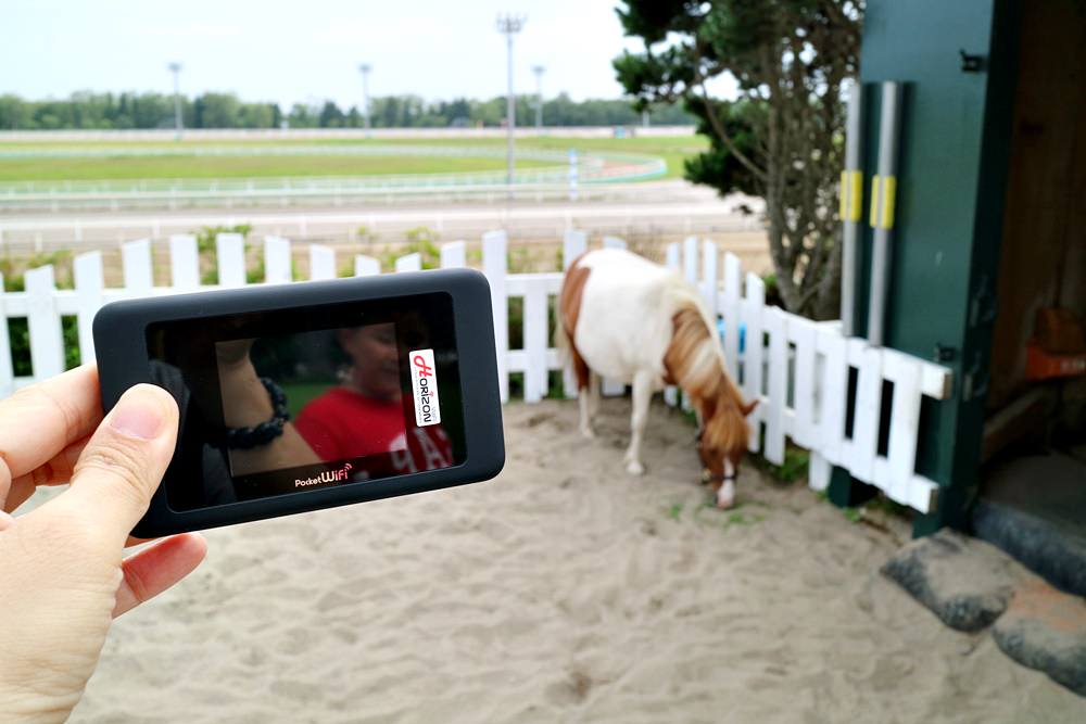 日本北海道25天露營自駕行 赫徠森wifi機 讓旅程更精彩 週邊景點、美食全掌握