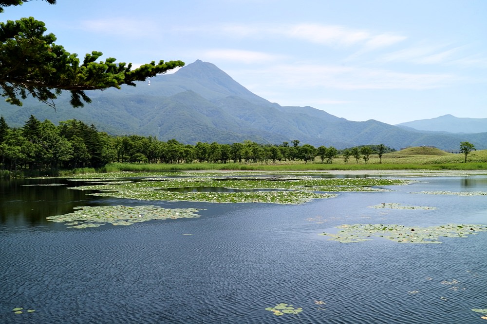 日本北海道25天露營自駕行 赫徠森wifi機 讓旅程更精彩 週邊景點、美食全掌握