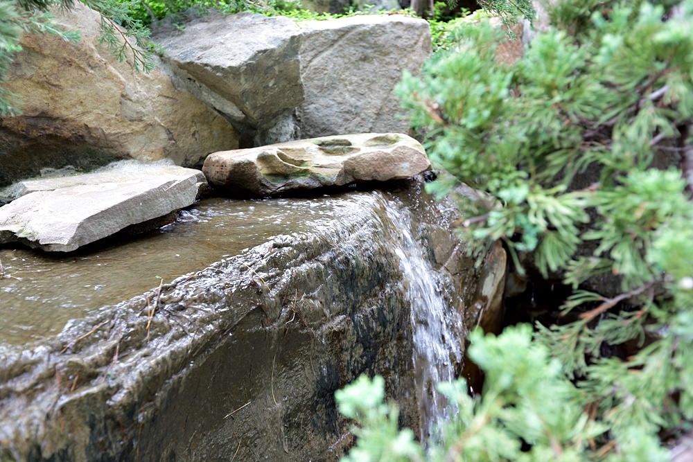 坐擁4000坪樹海 慢活人生就在精銳博 天天擁抱森林綠景、空中景觀走廊