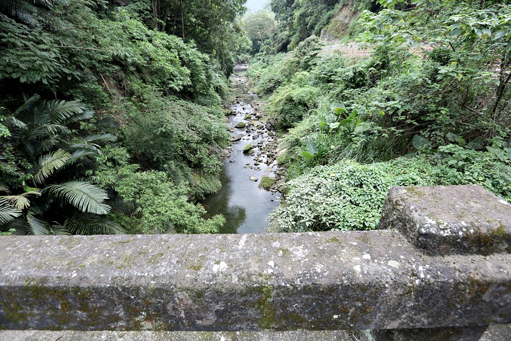 卓蘭秘境小旅行 走訪坪林社區老學堂逸香園 順訪峩崙廟與卓蘭美食