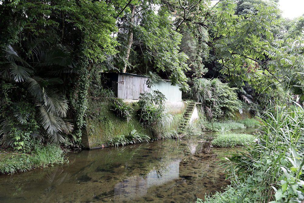 卓蘭秘境小旅行 走訪坪林社區老學堂逸香園 順訪峩崙廟與卓蘭美食