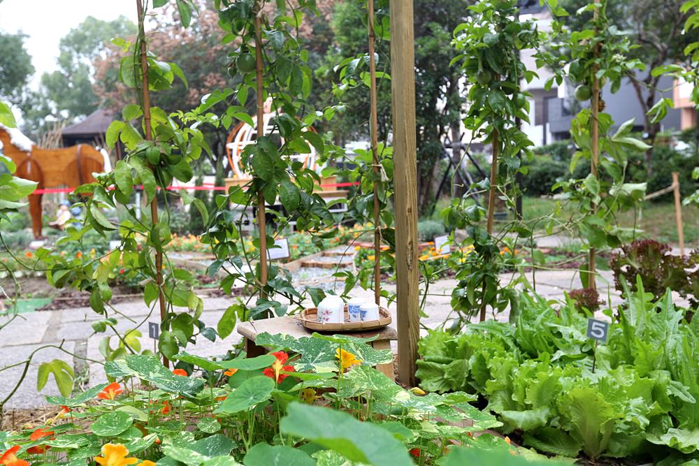 豐原葫蘆墩公園 這麼逛就對了！ 2019花博景點、交通接駁總整理