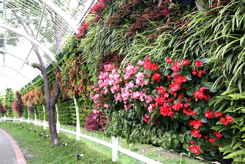 豐原葫蘆墩公園 這麼逛就對了！ 2019花博景點、交通接駁總整理