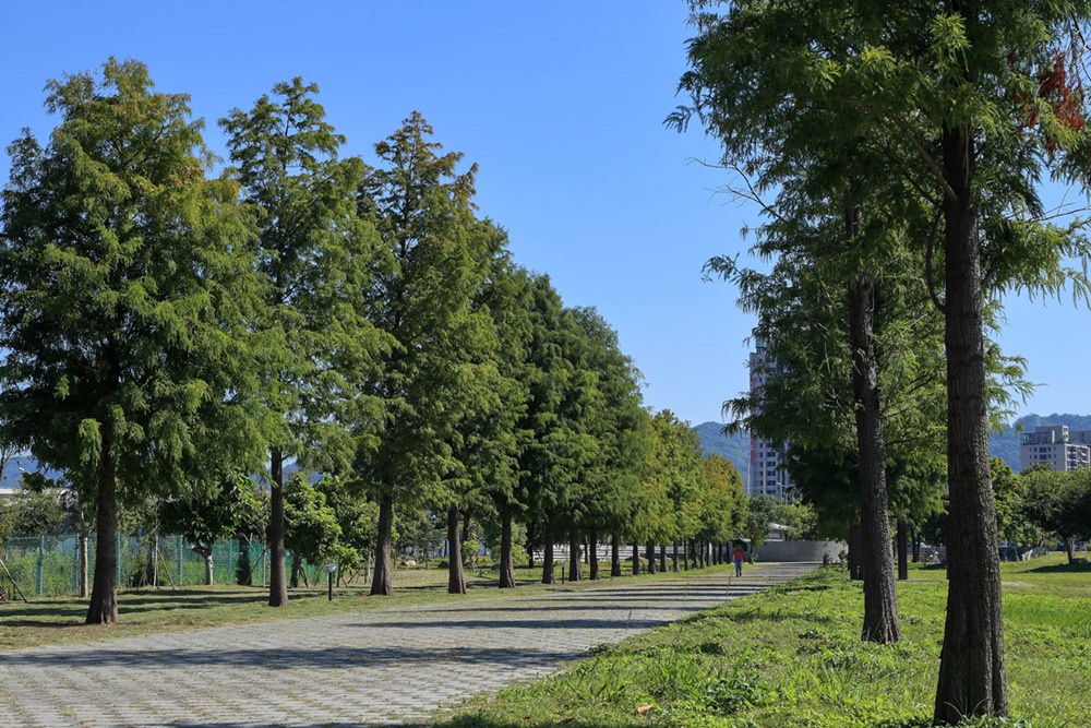 台中北屯預售屋 豐謙蜜之地 雙捷運雙公園 三房首付33萬 榮獲國家建築設計金質獎