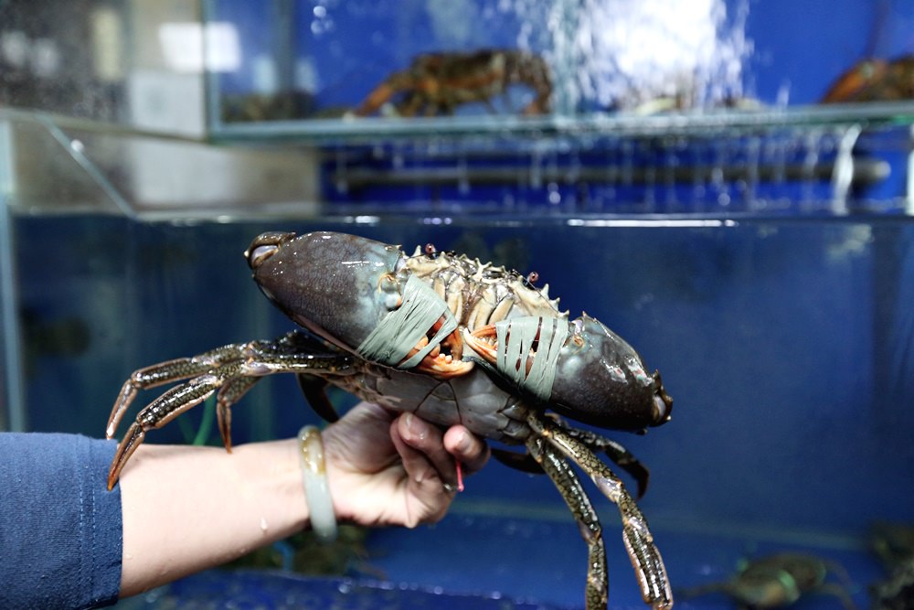 大祥燒鵝海鮮餐廳 生猛沙公沙母龍蝦爆美味 九孔鮑破盤特價 海鮮控必不能錯過