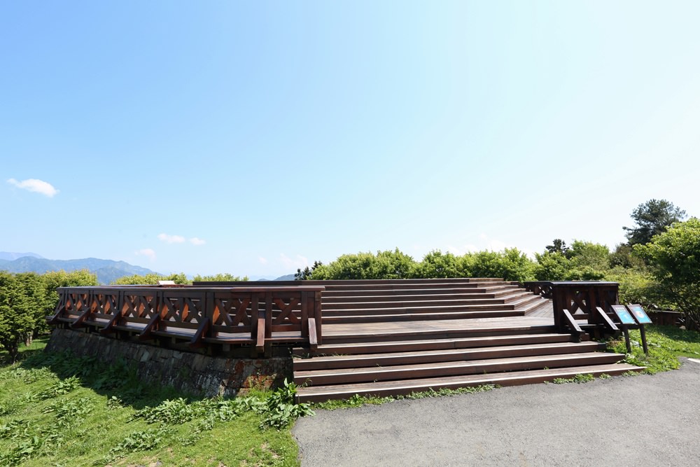 阿里山二日遊秘境 巧遇在草地睡覺的帝雉 祝山小笠原 夜間觀星、賞日出最佳選擇