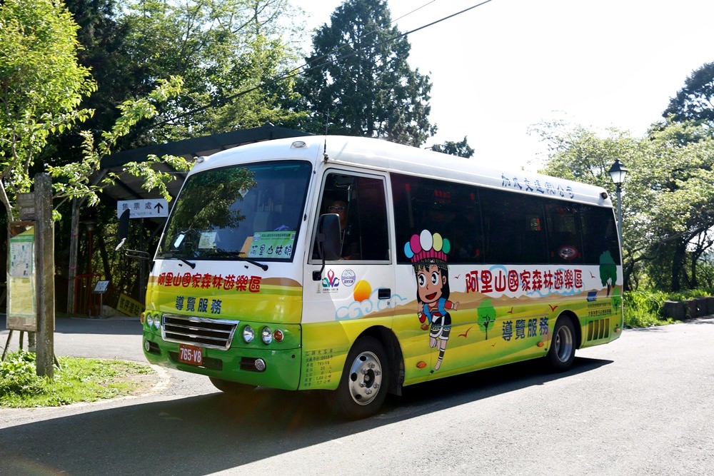 阿里山二日遊秘境 巧遇在草地睡覺的帝雉 祝山小笠原 夜間觀星、賞日出最佳選擇