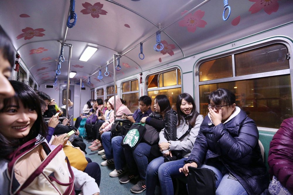 阿里山二日遊秘境 巧遇在草地睡覺的帝雉 祝山小笠原 夜間觀星、賞日出最佳選擇