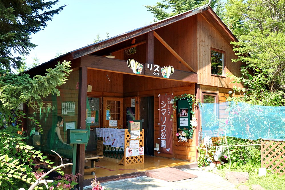 北海道網走景點之鄂霍次克花栗鼠公園 來當被花栗鼠包圍的白雪公主